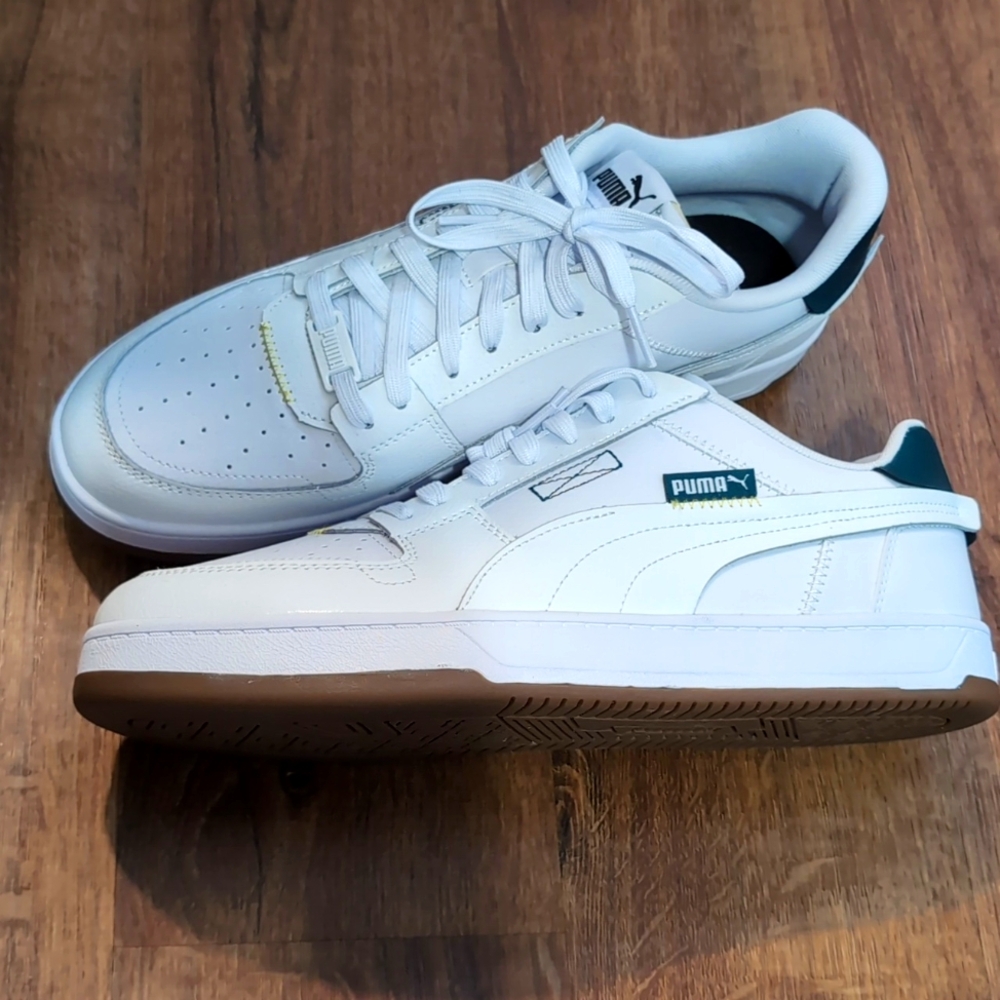 Puma Cavern 2.0